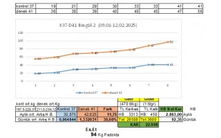 Simental Deneme Sonuçları 04
