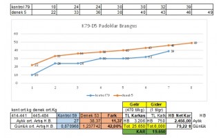 Brangus Deneme Sonuçları 05