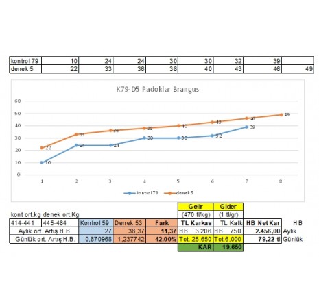 Brangus Deneme Sonuçları 05
