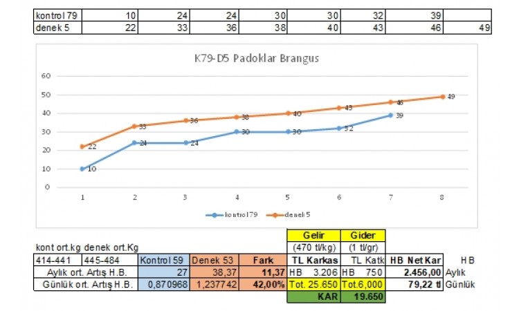 Brangus Deneme Sonuçları 05
